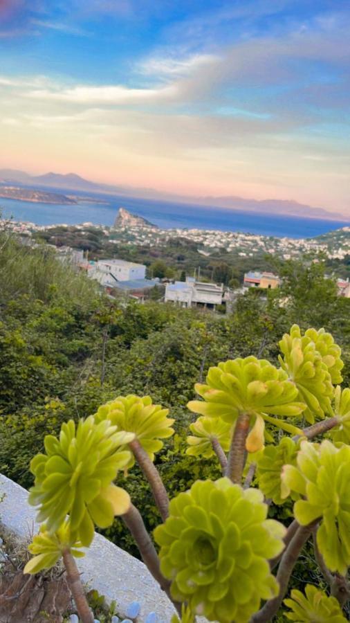 Relais Villa Ettore Barano d'Ischia Екстер'єр фото